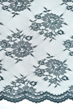 PLAIN JAPANESES LACE